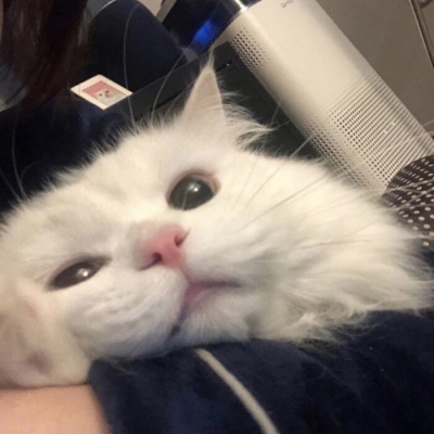 滴滴充电发布2025年度报告：已覆盖超280座城市68000余座场站，累计提供超17亿次充电服务