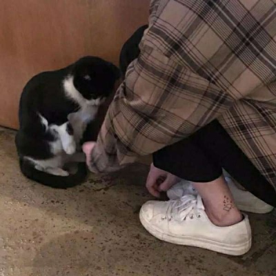 猎头黄仁勋的2025：高管从巨头挖，干活钟爱华人创业团队