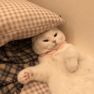 97年多兰2.1亿收购尼克斯